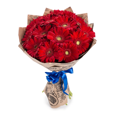 Яркий букет из 15 красных гербер – воплощение страсти и жизнерадостности Барнаул Алтайский край Яркий букет из 15 красных гербер – воплощение страсти и жизнерадостности Барнаул Алтайский край