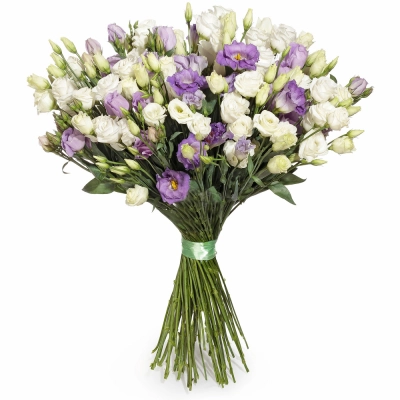 Изысканный букет из белых и фиолетовых эустом – гармония контрастов Барнаул Алтайский край Изысканный букет из белых и фиолетовых эустом – гармония контрастов Барнаул Алтайский край