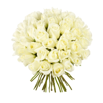 Роскошный букет из 51 белой розы – символ безграничной преданности Барнаул Алтайский край Роскошный букет из 51 белой розы – символ безграничной преданности Барнаул Алтайский край