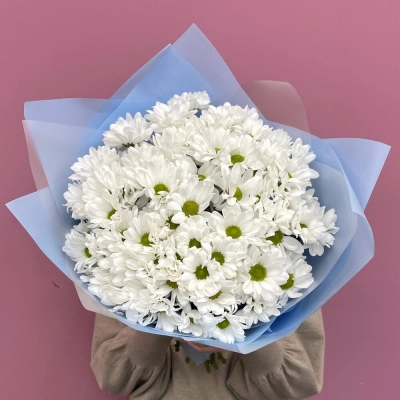 Букет «Ромашковое поле» – свежесть белых хризантем Барнаул Алтайский край