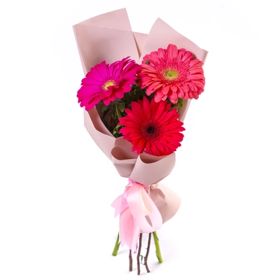 Яркий букет из 3 разноцветных гербер – маленькое чудо в ваших руках Барнаул Алтайский край Яркий букет из 3 разноцветных гербер – маленькое чудо в ваших руках Барнаул Алтайский край