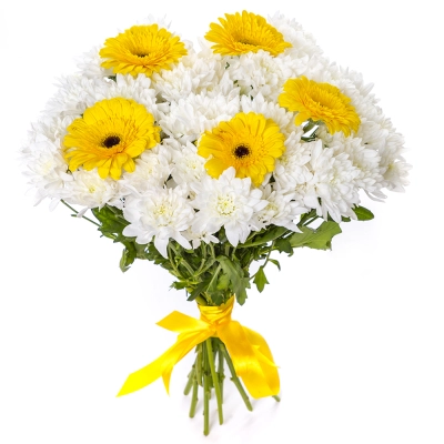 Солнечный букет из желтых гербер и белых хризантем – радость в каждом лепестке Барнаул Алтайский край Солнечный букет из желтых гербер и белых хризантем – радость в каждом лепестке Барнаул Алтайский край