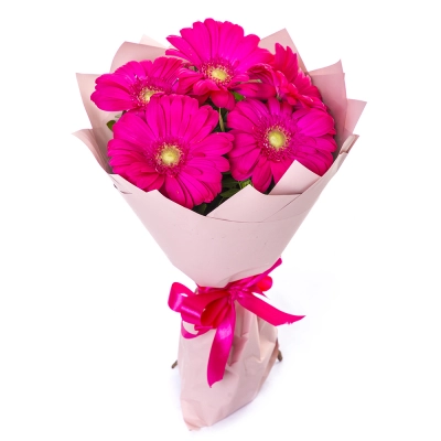 Букет из 5 малиновых гербер – сочный акцент вашего подарка Барнаул Алтайский край Букет из 5 малиновых гербер – сочный акцент вашего подарка Барнаул Алтайский край