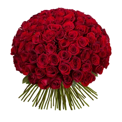 Букет из 101 красной розы – символ бесконечной страсти Барнаул Алтайский край Букет из 101 красной розы – символ бесконечной страсти Барнаул Алтайский край