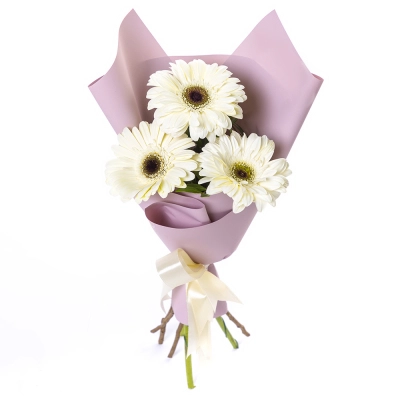 Нежный букет из 3 белых гербер – символ искренности и света Барнаул Алтайский край Нежный букет из 3 белых гербер – символ искренности и света Барнаул Алтайский край