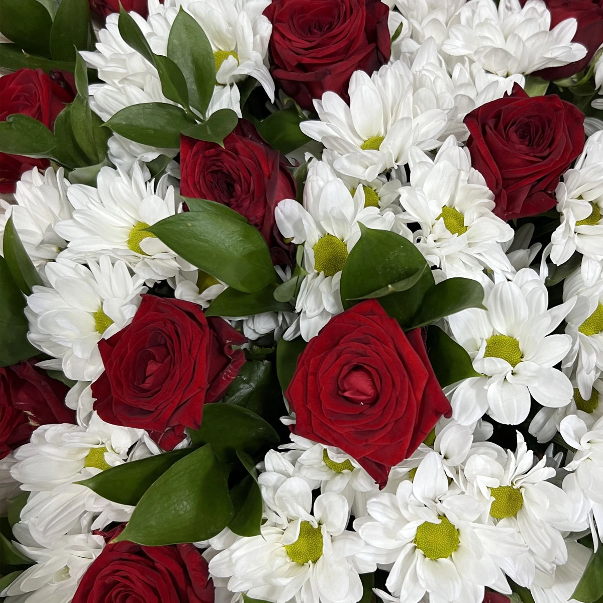Букет «Романтика» — гармония красных роз и белоснежных хризантем Барнаул Алтайский край Букет «Романтика» — гармония красных роз и белоснежных хризантем Барнаул Алтайский край