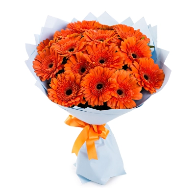 Яркий букет из 15 оранжевых гербер – как кусочек солнца в ваших руках Барнаул Алтайский край Яркий букет из 15 оранжевых гербер – как кусочек солнца в ваших руках Барнаул Алтайский край