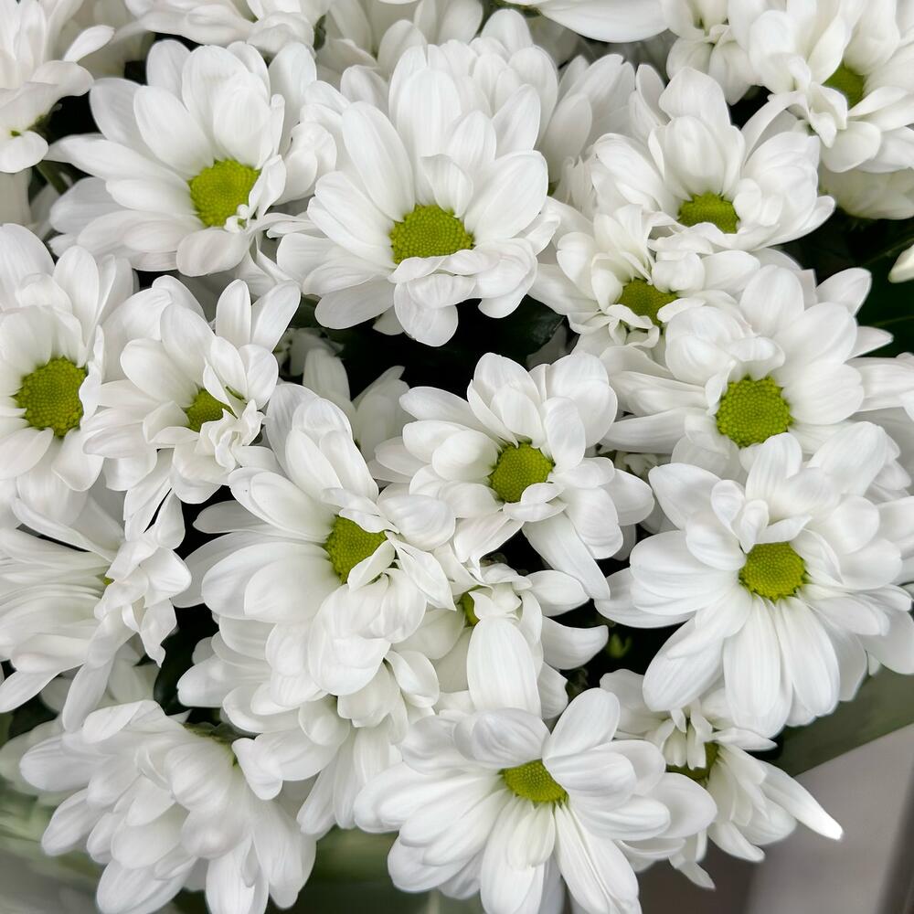 Букет «Мечты о лете» – свежесть белых хризантем Барнаул Алтайский край