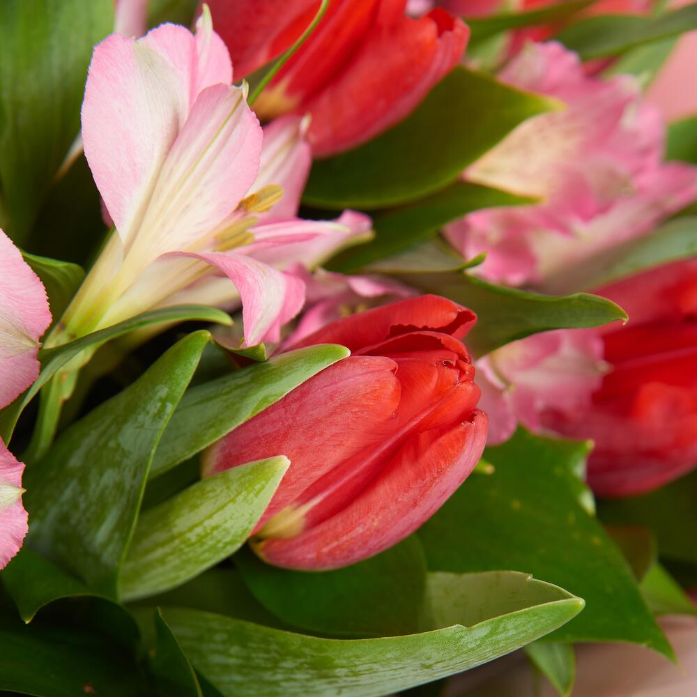 Букет «Первый поцелуй» красных тюльпанов и розовых альстромерий Барнаул Алтайский край