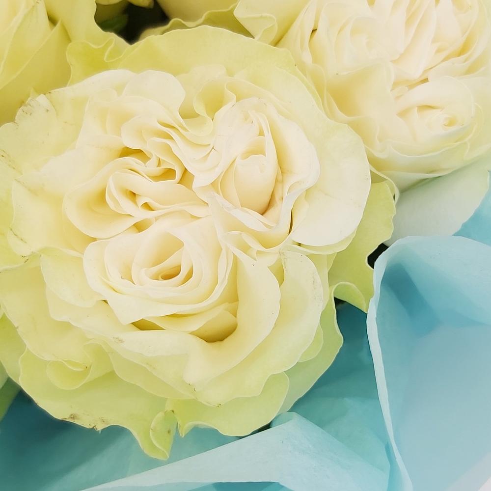 Букет «Кружевное облачко» – 11 белоснежных роз в нежной упаковке Барнаул Алтайский край