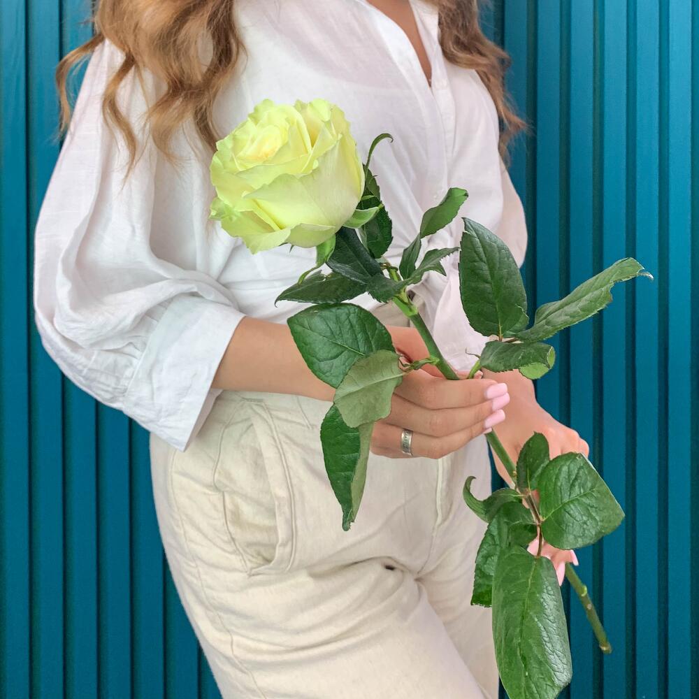 Комплимент из белой эквадорской розы – элегантность в каждом лепестке Барнаул Алтайский край