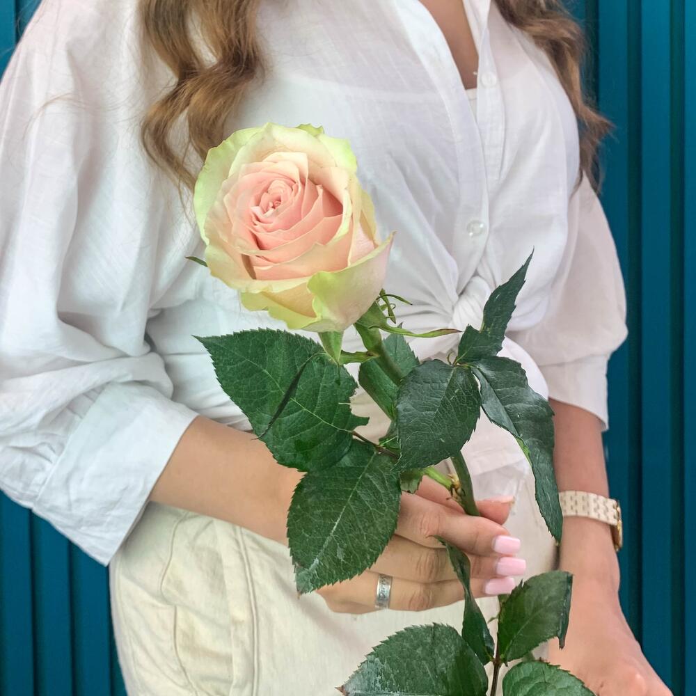 Комплимент из розовой эквадорской розы – минимализм роскоши Барнаул Алтайский край